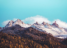 看见比赛的每一个瞬间：体育直播带来的生活升级